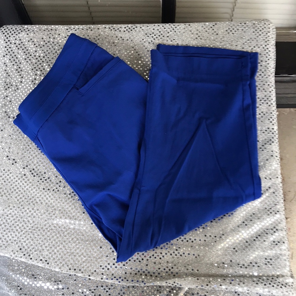 Briggs New York Blue Capri Pants